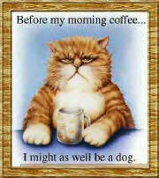 coffecat.jpg