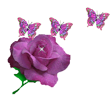 pinkroses_butfly.gif